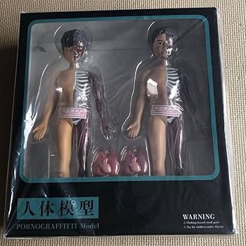 今月限定価格【最安値】ポルノグラフィティ　人体模型【レア】 Amazon.co.jp: ポルノグラフィティ 人体模型 フィギュア : おもちゃ